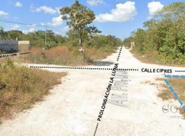 Terreno / Lote · 433m² · Terreno en Renta en Cancún en Prolongación La Luna | Excelente Ubicación y Conectividad