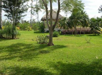Terreno / Lote · 5000m² · Terrenos en Venta en Cancún en Leona Vicario Sobre Carretera Cancún–mérida