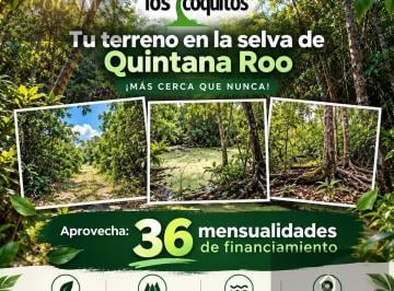 Terreno / Lote · 5000m² · Terrenos en Venta en Leona Vicario | Carretera Cancún–mérida