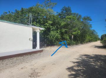 Terreno / Lote · 5000m² · Terreno en Venta Cancun Colonia Doctores