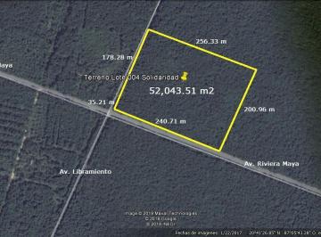 Terreno / Lote · 52000ha · Terreno en Venta en Playa del Carmen con Uso Plurifamiliar