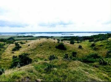 Rancho , Alvarado · A Pié de Carretera y Río Terreno de 25.74 Hectáreas Municipio de Alvarado Veracr