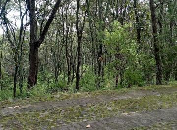 Terreno / Lote , Teuchitlán · Imagina Despertar Rodeado de Bosque, Aire Puro y Tranquilidad