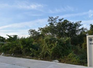 Terreno / Lote · 420m² · Terreno en Re Venta en Campo Magno, Zona Country - (4)