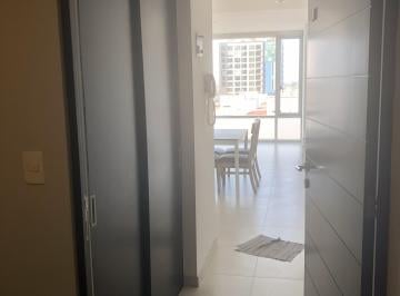 Departamento de 1 habitación, Miguel Hidalgo · Precioso Departamento en Parques Polanco