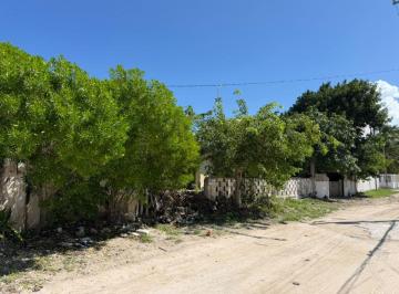 Terreno / Lote , Progreso · Terreno en Venta en Chicxulub Puerto, Cerca de Progreso