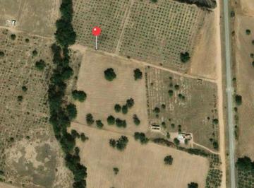 Terreno / Lote · 10081m² · Terreno en Venta en Axapusco