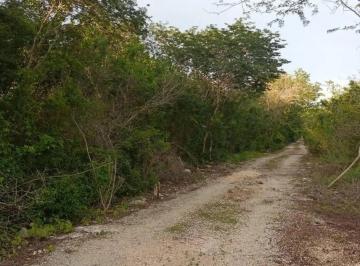 Terreno / Lote , Mérida · Terreno de 2500 m² en Sierra Papacal