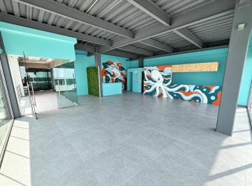 Local comercial , Querétaro · Local Lucas - Av Constituyentes