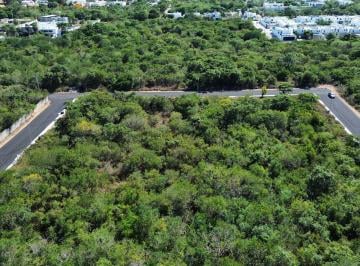Terreno / Lote · 498m² · Terreno en Venta en Dzitya, Mérida