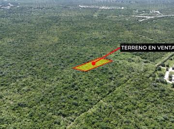 Terreno / Lote , Mérida · Terreno de 7,925 m² Para Inversion de Largo Plazo Entre Mérida y Playa de Progreso Yucatan