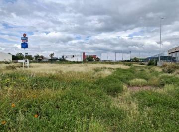 Terreno / Lote , Aguascalientes · Rmc - ️terreno en Renta en Desarrollo Especial Galerías