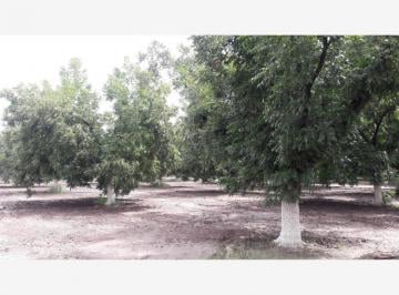 Terreno / Lote · 1037m² · Terrenos Campestres en Venta en Gomez Palacio Dgo.
