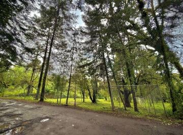 Terreno / Lote , Valle de Bravo · Terreno en Venta Ejido de Dolores, Valle de Bravo, Plano, Bosque