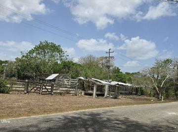8d5d0516295e3b244a77623d138377dc2b9072c97ac7b4c18026268f400ac72a · Rancho en Venta Tizimin, Yucatán.