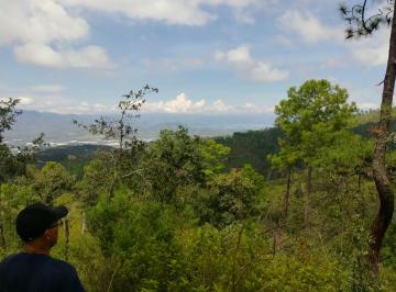 Rancho , Zapotlán el Grande · Vendo 5 Hectáreas