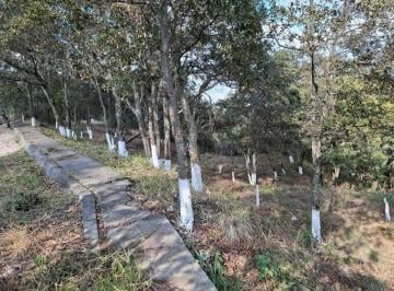 Terreno / Lote · 1605m² · Venta de Terreno en Fracc. Residencial Campestre Lt. 20 Mza. XI, Villa del Carbó