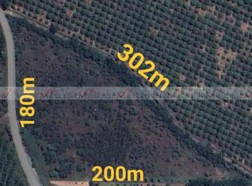 Terreno / Lote · 25000m² · Terreno / Lote en Venta en Atongo de Abajo