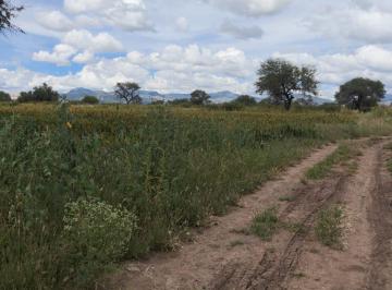 Terreno comercial · 13861m² · Terreno Loza de Los Padres - (4)