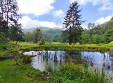 Terreno / Lote · 320000ha · Terreno Para Rancho Cerca de Avándaro con Agua de Manantial y Poza Natural