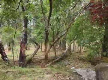 Terreno / Lote , Huasca de Ocampo · Terreno en Venta Huasca Hidalgo