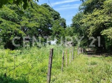 Terreno / Lote · 29328m² · Se Vende Parcela de 2.93 Has a 1 Km de Altozano
