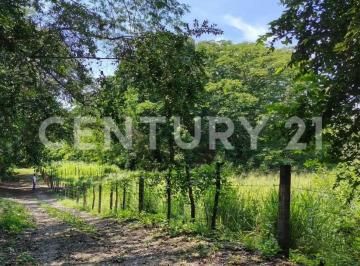 Terreno / Lote · 16955m² · Se Vende Parcela de 1.69 Has a 1 Km de Altozano, Ejido Felipe Chavez, Cuauhtemoc