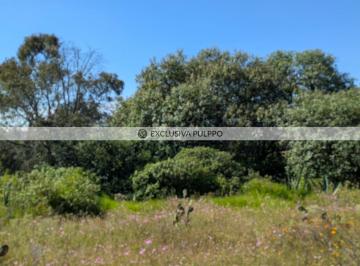 PXL_20251001_160141530.MP.jpg · Terreno Residencial en Venta en Pueblo San Pedro Tenango