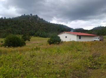 Terreno comercial , Durango · 3000 Ha Maderables, Paraiso en La Sierra de Durango