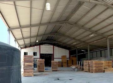 b938cf431ae3b2c5f8d8b27b915c0d809f3fc07123d386626874c74550cb00ae · Bodega en Renta en Apodaca, Nl