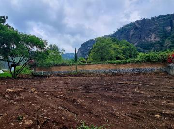 VISTA FRONTAL · Terreno Espectacular en Tepoztlán a Faldas del Cerro, Vista Impresionante