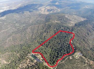 Rancho de 1 habitación, Zapotlán el Grande · Rancho de 51 Ha con 1 Recámara en Venta en Ciudad Guzmán