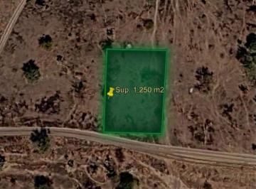 Terreno / Lote · 1250m² · Terreno en Venta en Fraccionamiento La Ponderosa, Colon, Queretaro. Sup. 1,250 m²