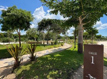 WhatsApp Image 2026-10-08 at 12.59.06 PM (2).jpeg · Terreno Residencial en Venta en Pueblo Tamanche