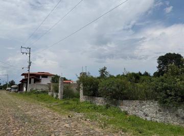 39828040337ed915f61387596f577a3d26c63e225a06d4d9b1f0d33dcbd50fe1 · Terreno en Venta en Tapalpa