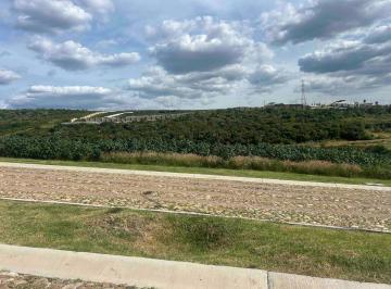 Terreno / Lote , Lagos de Moreno · Terreno Campestre en Venta en Valle de Los Reyes