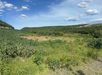 Terreno / Lote , Lagos de Moreno · Terreno Campestre en Venta en Valle de Los Reyes