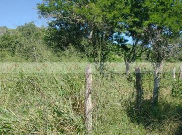 Quinta · 1350000m² · Quinta en Venta en González [ejido]