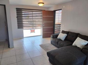 Departamento de 2 habitaciones, Tijuana · Departamento en Renta con Electrodomesticos en Colinas de California Tijuana
