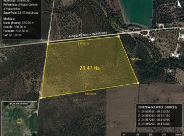 Terreno / Lote · 230000ha · Terreno en Antiguo Camino a Hualahuises, Linares, Nuevo León