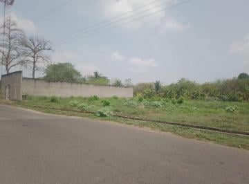 Terreno / Lote , Tapachula · Terreno en Renta Ubicado en Ejido Llano de La Lima