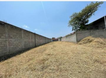 Terreno / Lote · 200m² · Terreno en Venta, con Infraestructura y Alberca en Temixco Morelos