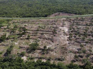 Terreno / Lote , Mérida · Terreno 13.7 Hectáreas en Renta Sobre Carretera en Mérida, Yucatán