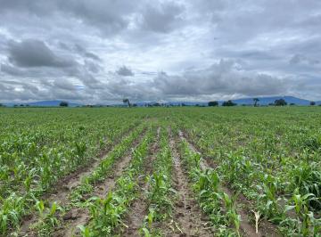 Terreno / Lote , San José Chiapa · Terreno Para Desarrollo Habitacional o Uso Agricola.