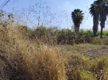 Terreno comercial , Yautepec · Terreno Plano Av Principal Yautepec