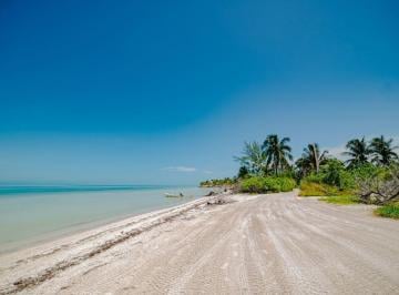 Terreno / Lote , Lázaro Cárdenas · Terreno en Venta en Paseo Carey, Lázaro Cárdenas, Isla Holbox.