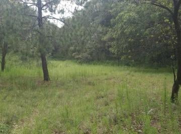 Terreno / Lote · 2125m² · Venta de Terreno en Fracc. Campestre Lt. 70, Villa del Carbón
