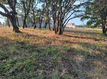 Terreno / Lote · 1500m² · Terreno en Venta en Villa del Carbon Lote 6, Mz 16, Fraccionamiento Campestre