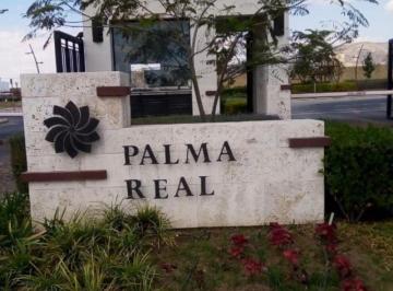 Terreno / Lote , León · Terreno en Venta en Mayorca Palma Real