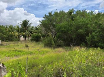 Terreno / Lote · 402m² · Nb Terreno en Venta en Santa Clara Merida Yucatan